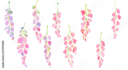 pink and purple wisteria set, branches and flowers, watercolor illustration