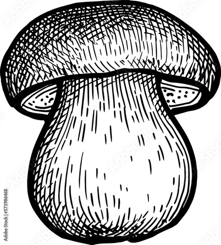 Penny bun mushroom ink sketch.
