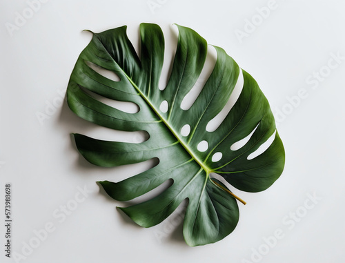 Flat lay of indoor plant leaf on white background created with Generative Ai