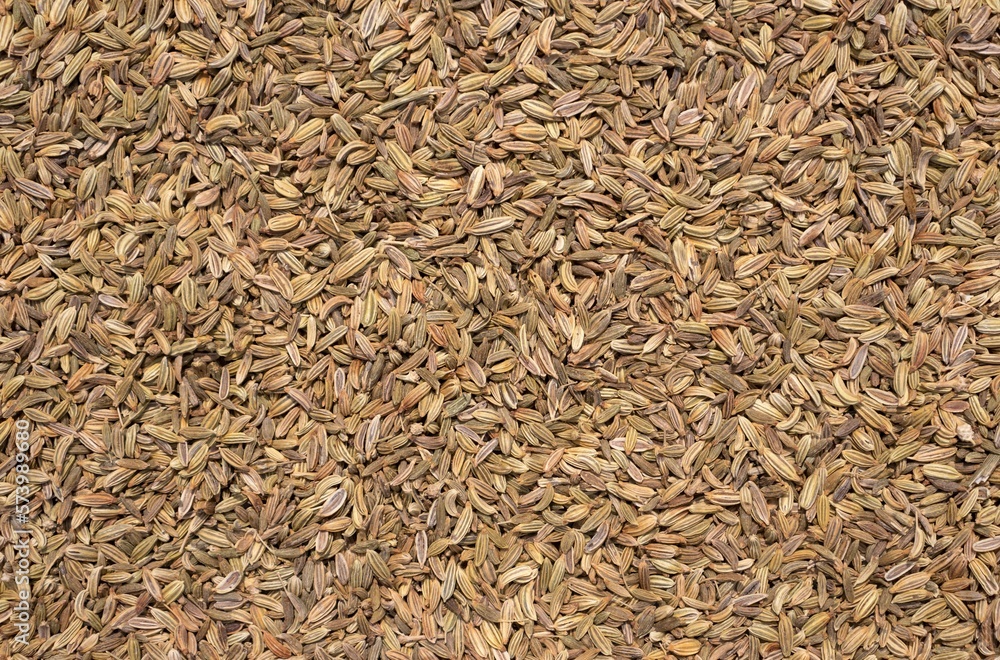 Organic Fennel Seeds Heap Background in Horizontal Orientatation Organic Fennel Seeds Heap Background in Horizontal Orientatation
