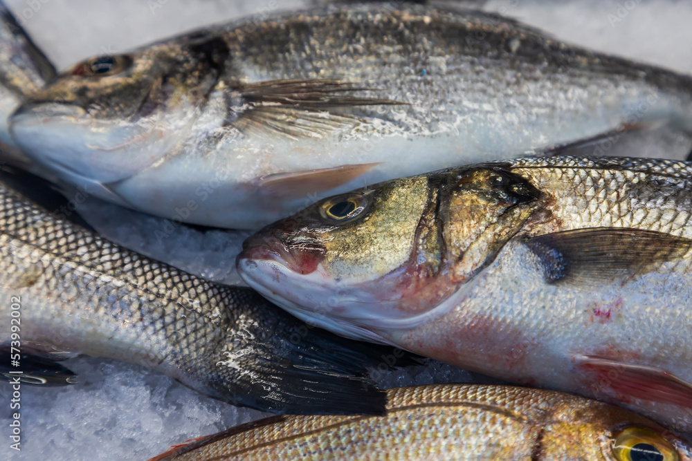 Fresh sea fish in the cold counter, intended for sale in the market. The fish are stored on ice. Fresh sea fish in the cold counter, intended for sale in the market. The fish are stored on ice.
