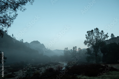 Foggy Morning (ID: 573992039)