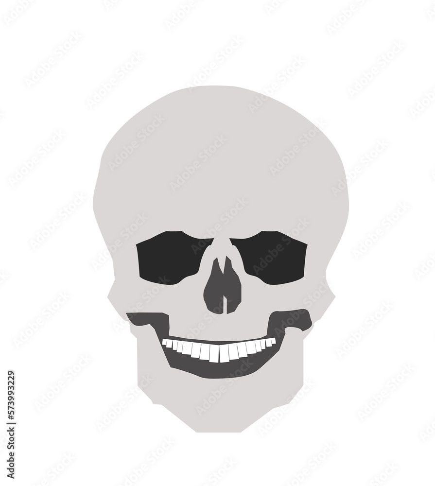 Skull isolated on transparent background. PNG illustration