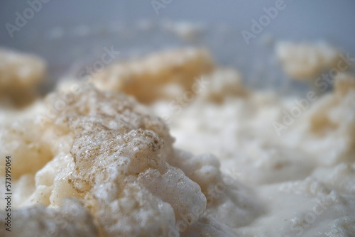 Beer yeast foam - alcohol fermentation process