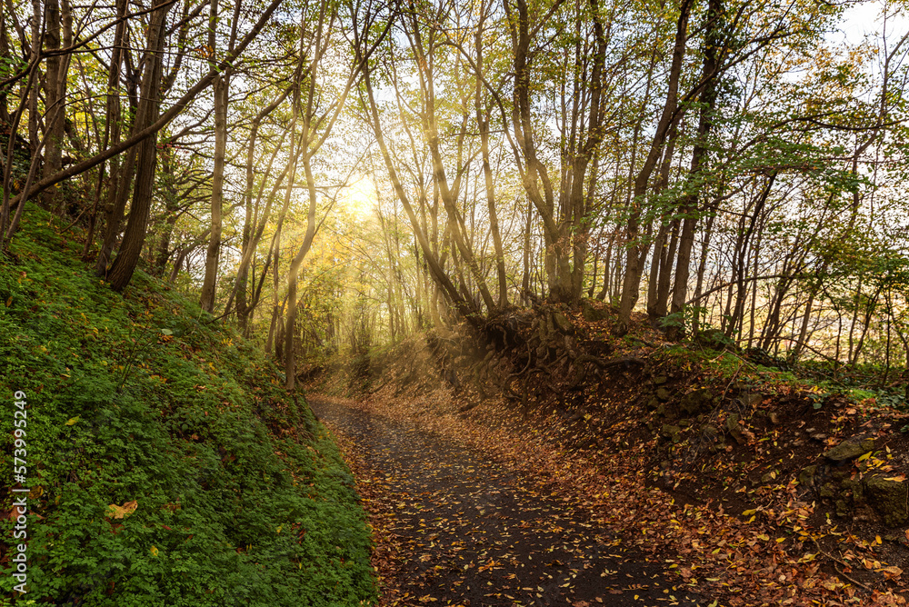 Erdody castle park in autumn.Amazing fall colored landscape. This place is in west Hungary near by Lake Balaton