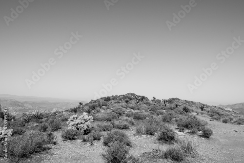 Desert View (ID: 573995247)