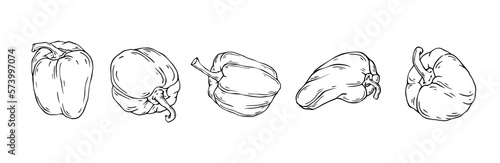 Set of linear sketches of sweet bell pepper and vegetable pieces.Vector graphics.	