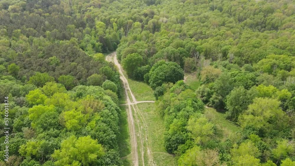 Aerial landscape of trail in Grunewald Forest West Berlin Germany Aerial landscape of trail in Grunewald Forest West Berlin Germany