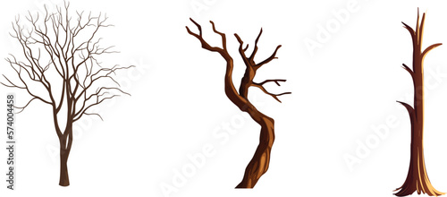Tela Tree with naked branches, dry wood without leaves