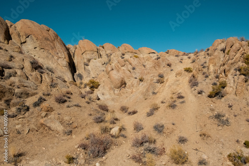 Desert Landscape (ID: 574005097)