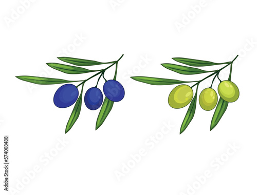 branch of olives. Set of olive branch isolated on white background.EPS file available. Illustration of an olive branch. Vector image of olives, isolated, eps 8