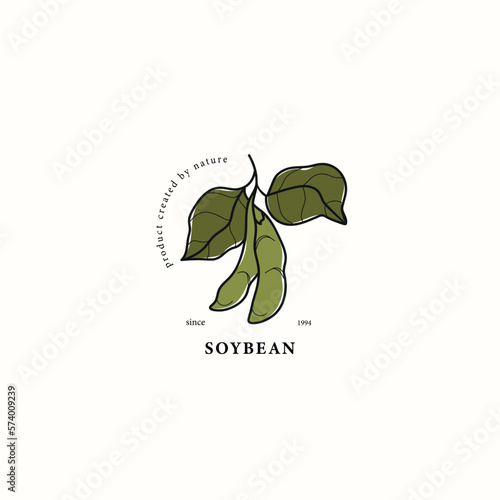 Line art soybean branch drawing
