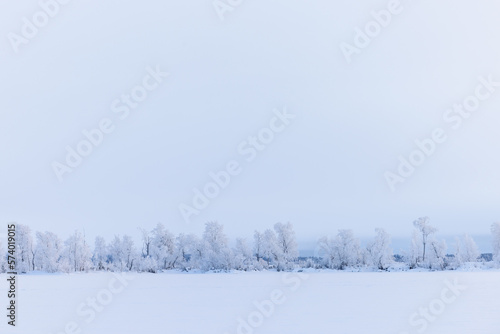 Minimalistic winterlandscape with snow and trees in Lapland, Finland