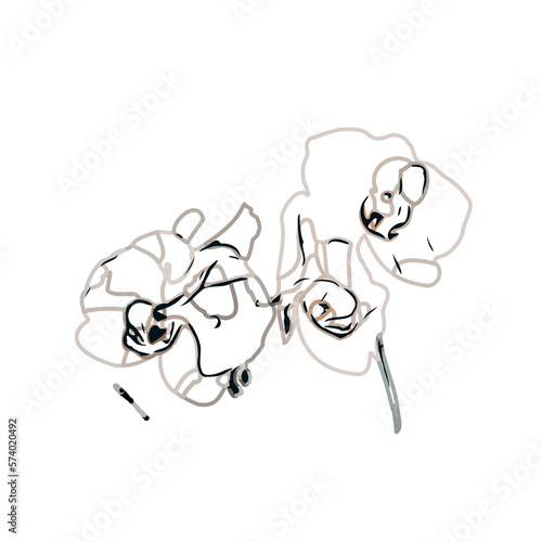 Color sketch of an orchid flower with transparent background