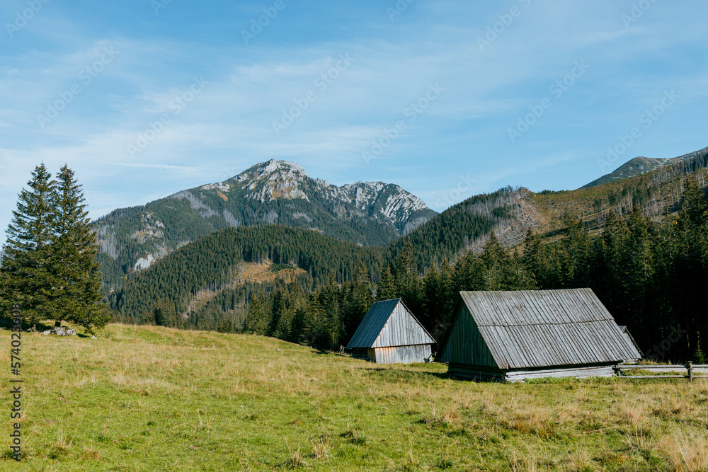 Mountain hut in Tatras. Beauty of countryside concept background. Discover the world of beauty. Wooden cottage in the valley.