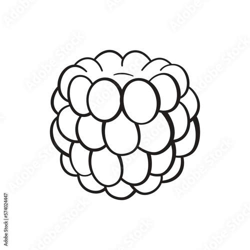 Raspberry vector illustration. Element for design.
