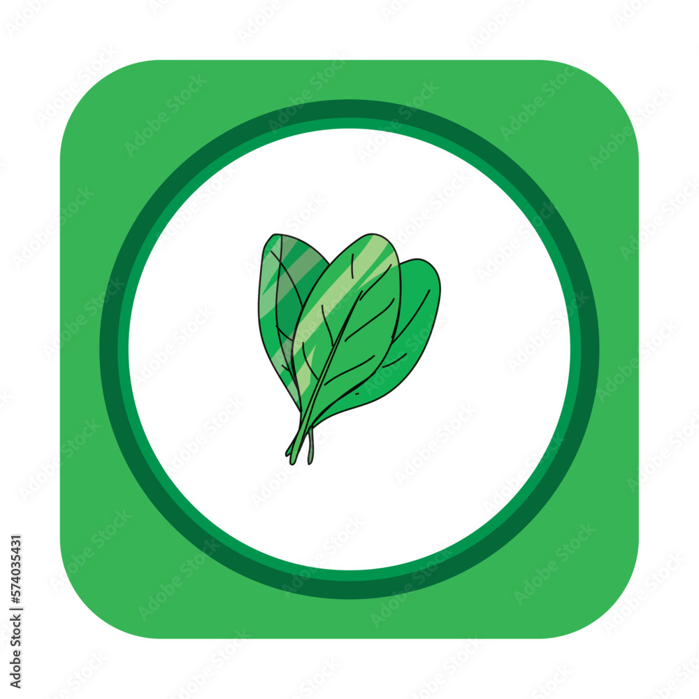vegetable icon vector image with white background and green border vegetable icon vector image with white background and green border