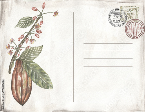 Wallpaper Mural Watercolor vintage banner with cacao pod and leaves. Old style illustration with cocoa branch, beans and leafs.  Hand drawn retro stamp, card Torontodigital.ca