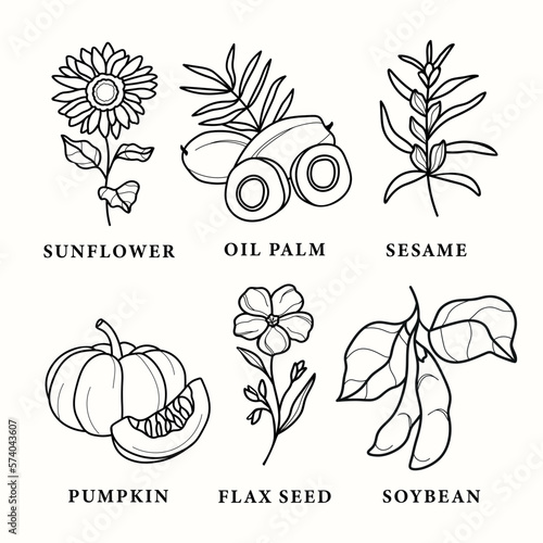 Set of line art vegetable oil plants