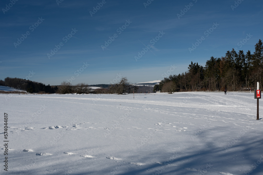 Winter landscape with lots of snow and trees