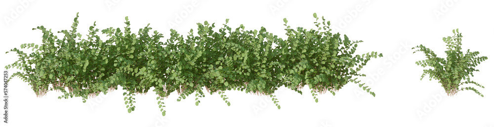 3d green bushes isolatedon PNGs transparent background
3d green bushes isolatedon PNGs transparent background