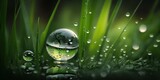 Dew drops on grass. Rain drop in grass. Green grass. Rain drops. Macro close up of fresh spring grass with early morning dew. Large beautiful drops. AI  generative.