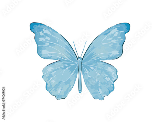 blue butterfly hand drawn design vector © ulucsevda