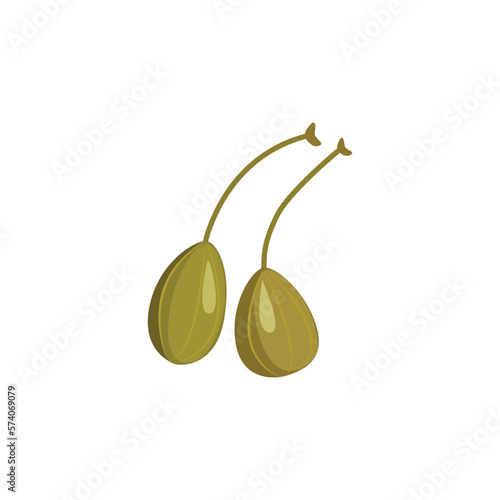 Pickled caper berries isolated on white background. Vector illustration