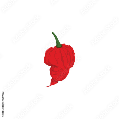 Carolina Reaper peppers. Vector illustration decorative design