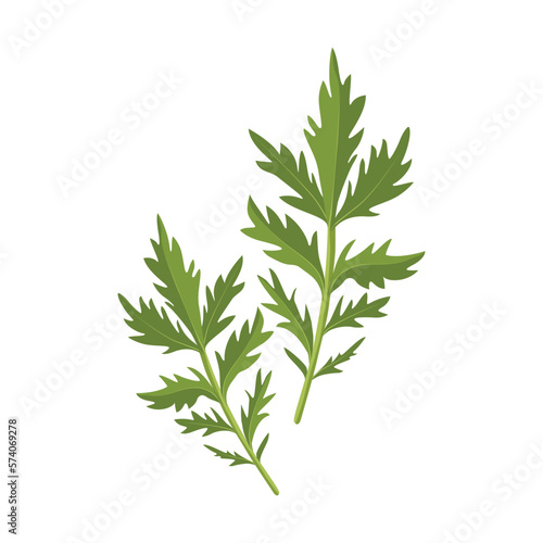 Epazote. Epazote Dysphania ambrosioides a pungent culinary herb and vegetable in Mexican cooking and to make a herbal tea. Aromatic herb