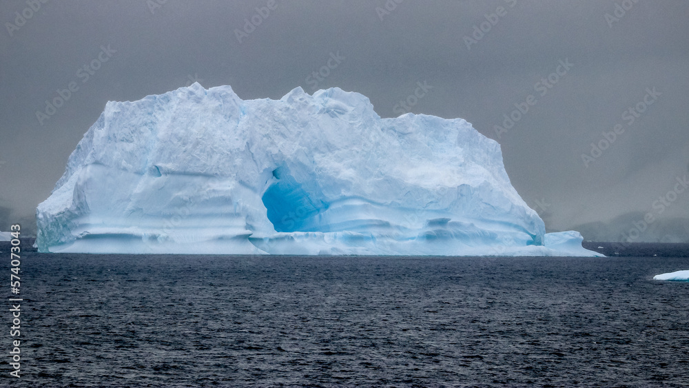 Antarctica Antarctica