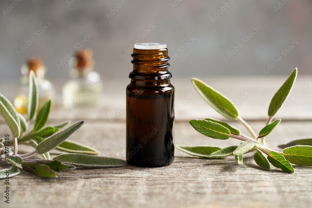 A bottle of sage essential oil with sage twigs A bottle of sage essential oil with sage twigs