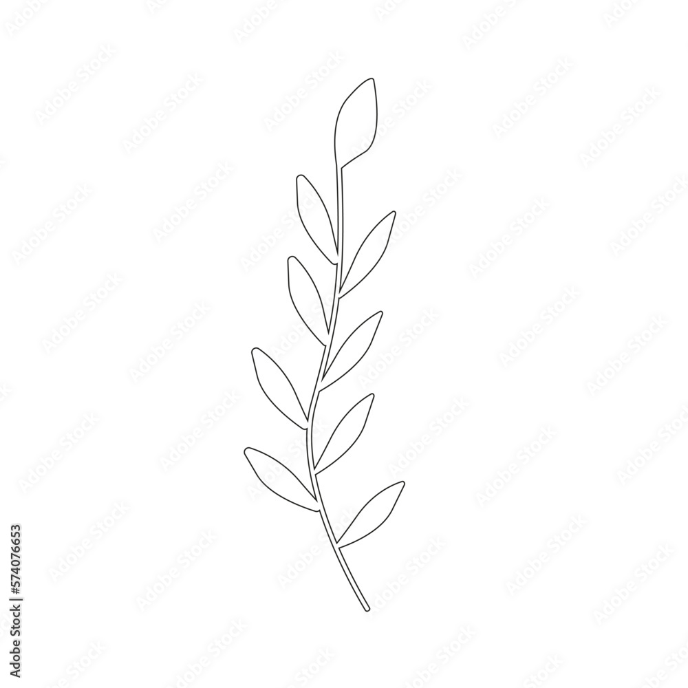 Olive Branch line Illustration. Vector olive branch as symbol of peace. Olive branche design element. Plant tree branch isolated on white. Vector illustration.