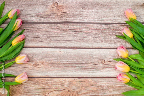 pnk tulips on wooden background with copy space photo