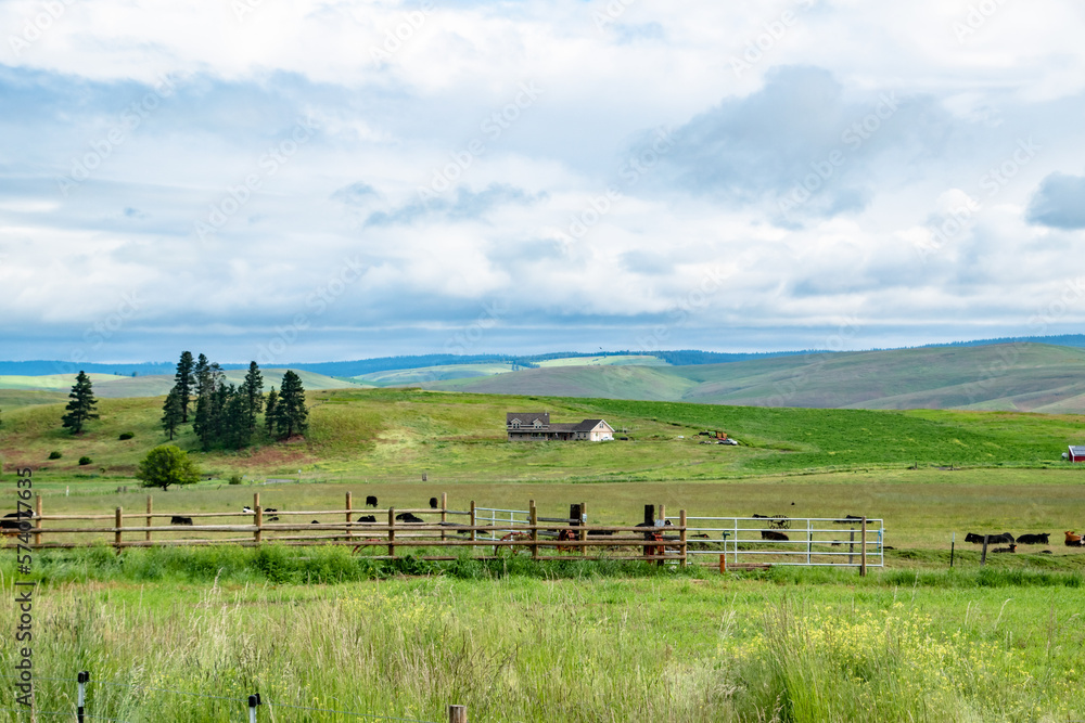 Obraz premium Rural Farm out in Green Hills of Wallowa in Eastern Oregon on Sunny Day