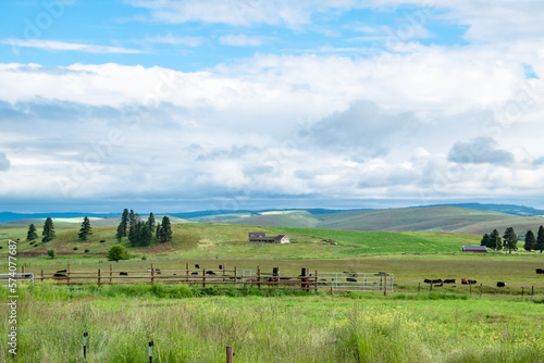 Rural Farm out in Green Hills of Wallowa in Eastern Oregon on Sunny Day