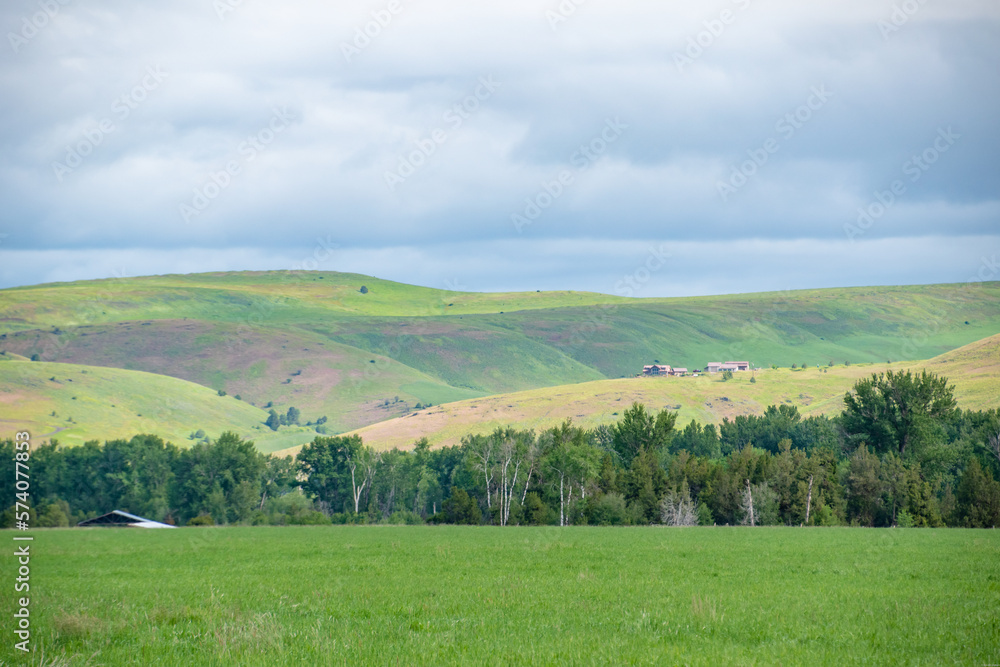 Rolling Green Hills of Enterprise, OR in Rural Eastern Oregon