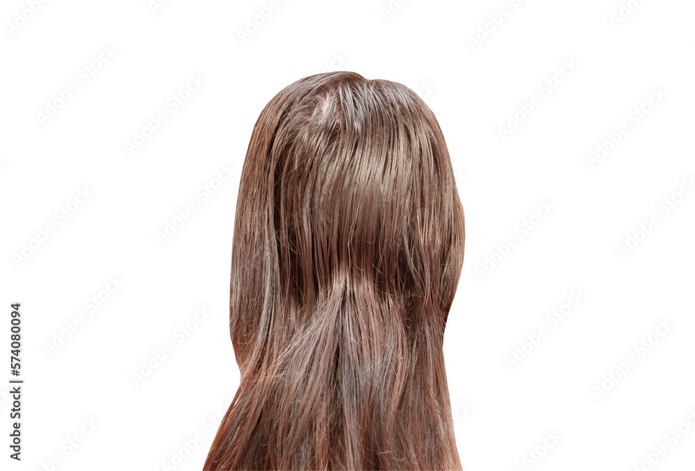 Women hair view from the back of the head, isolated on white background with clipping path Women hair view from the back of the head, isolated on white background with clipping path