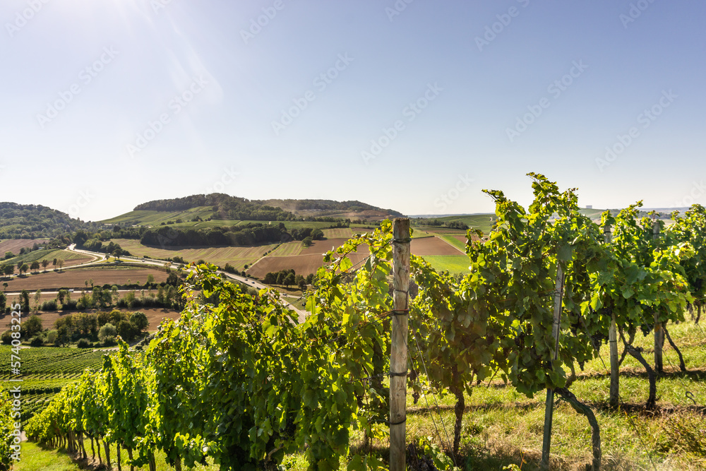 Landschaft mit Berg und Weinreben 