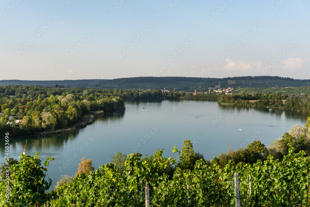 See umringt von Wald Weinreben blauer Himmel 