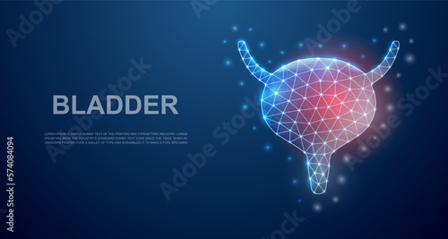 Bladder 3d low poly symbol with pain center for landing page template. Bladder pain design illustration. Polygonal organ illustration