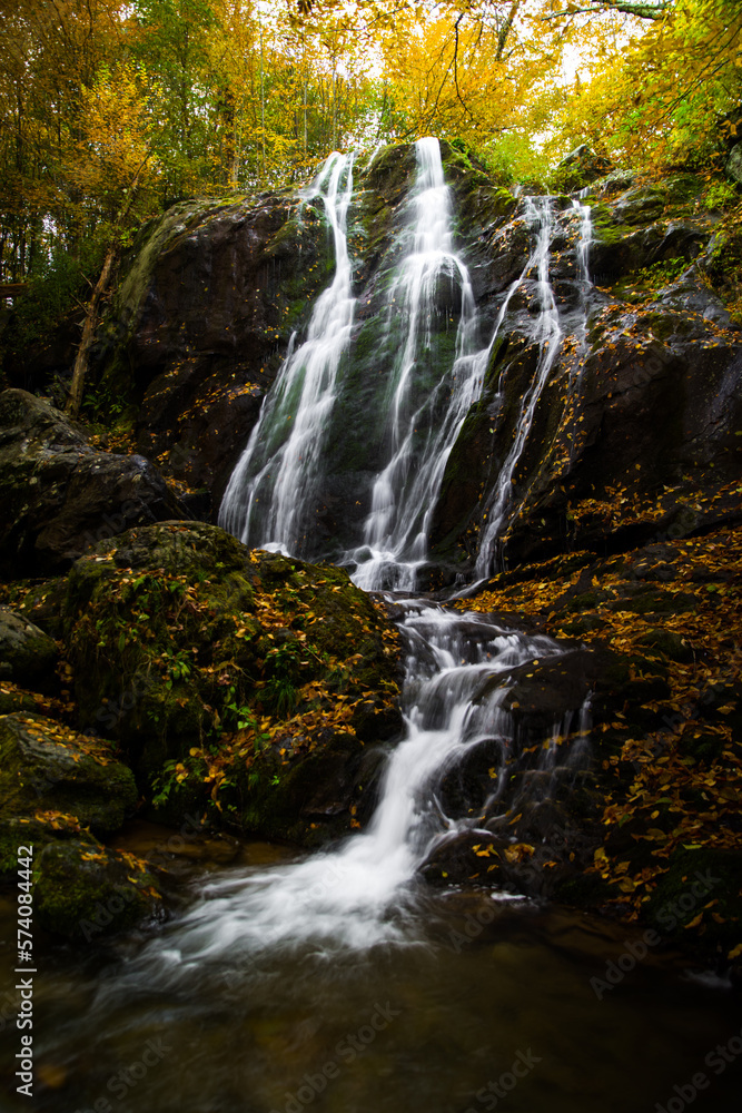 Naklejka premium Dark Hollow Falls in Shenandoah, Virginia