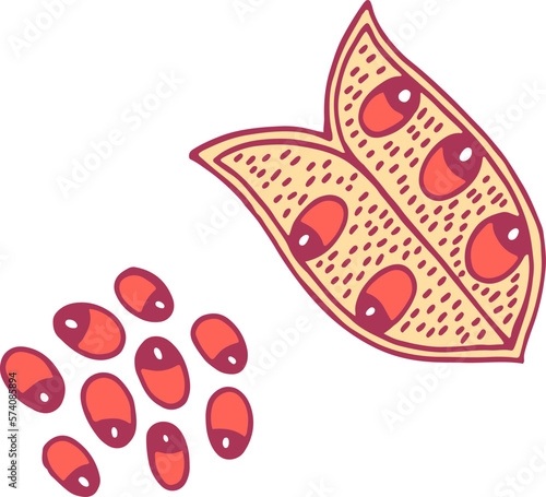 red seeds and pod, hand-drawn style clip art preview