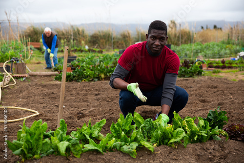 Serious gardener checks plants in the garden. High quality photo © JackF