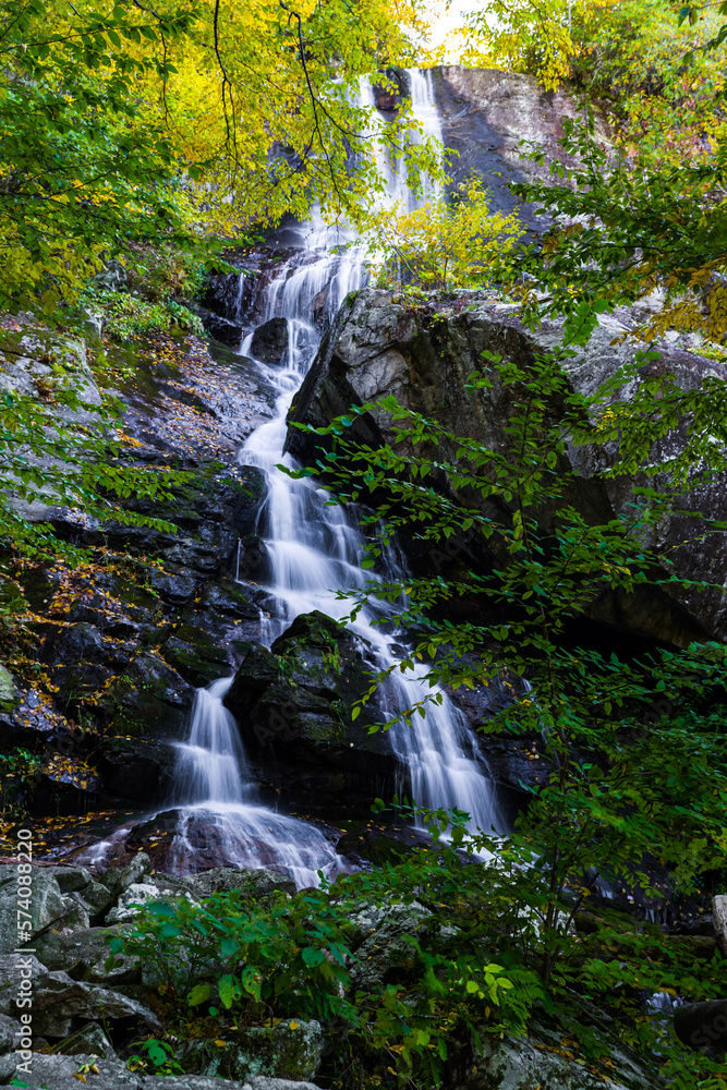 Apple Orchard Falls in Virginia