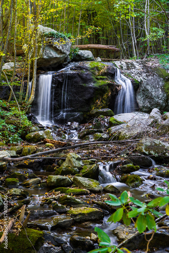 Apple Orchard Falls in Virginia