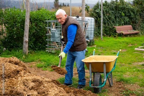 Elderly man with garden shovel at land in garden. High quality photo