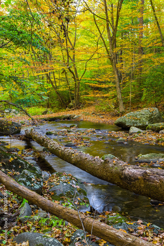 Streams in Virginia during the Fall © David Souza