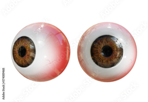 3d rendering human eye organs perspective view