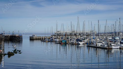 Shot of the boats docked at the Monterey Bay in California © Frank